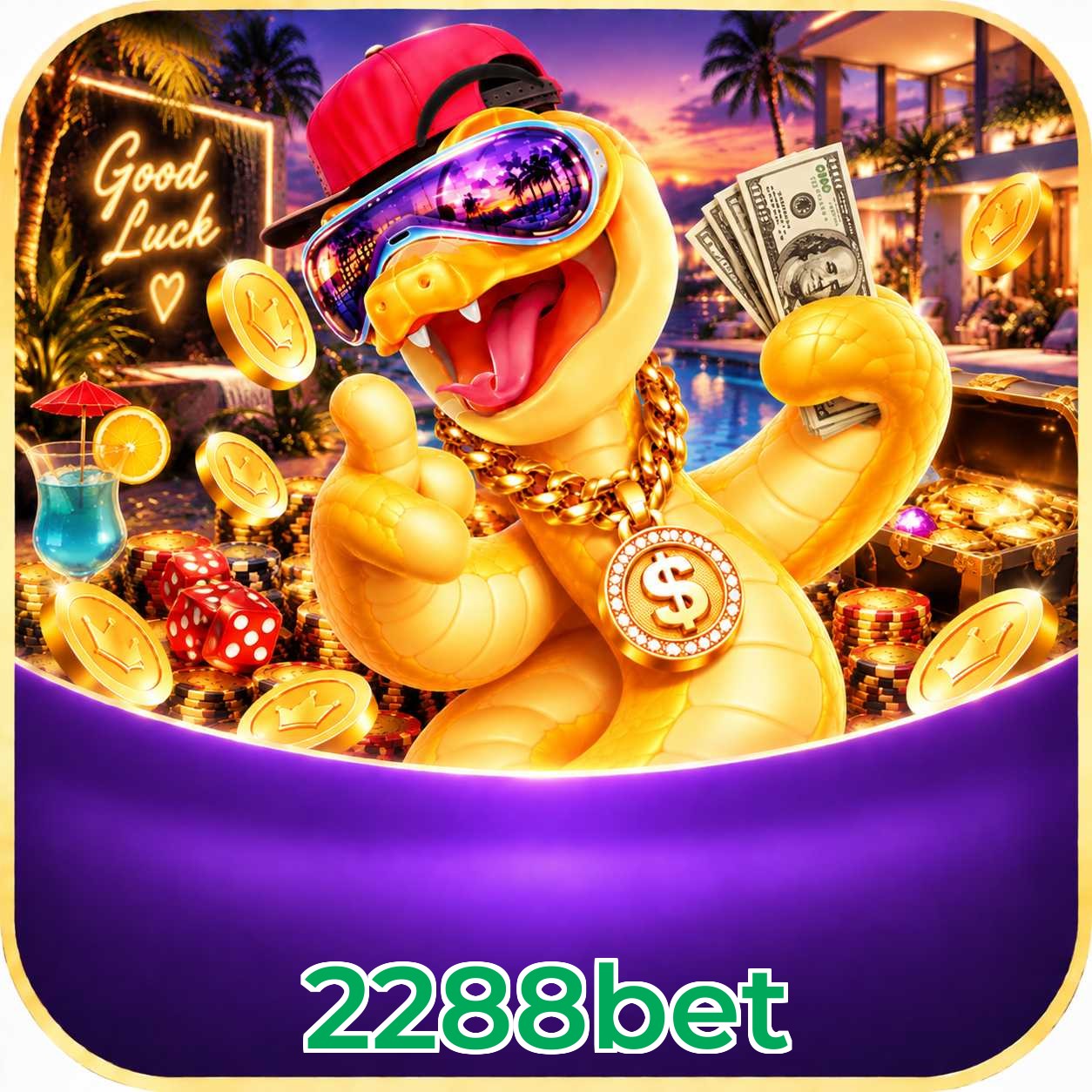 2288bet em números - plataforma líder no Brasil desde 2020